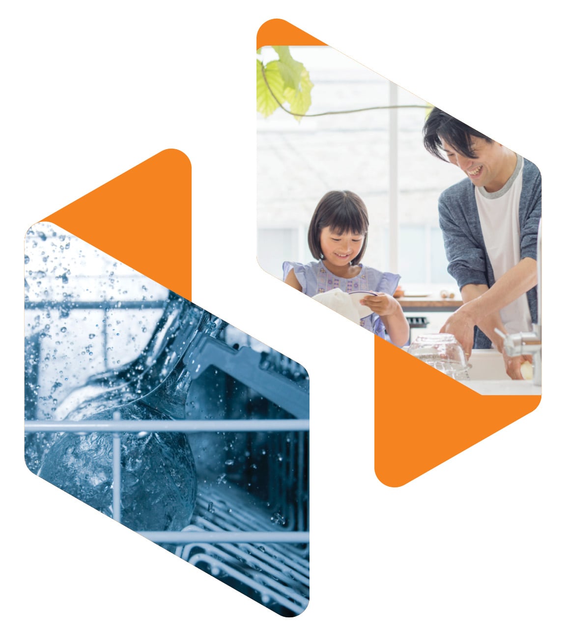 Novozymes® Enzyme Solutions for Dishwash banner image
